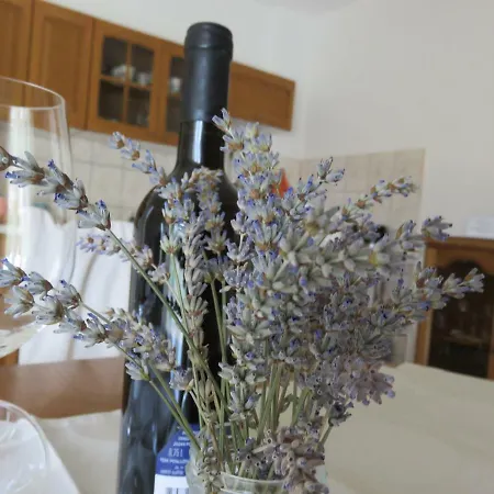 Casper Apartment Novi Vinodolski