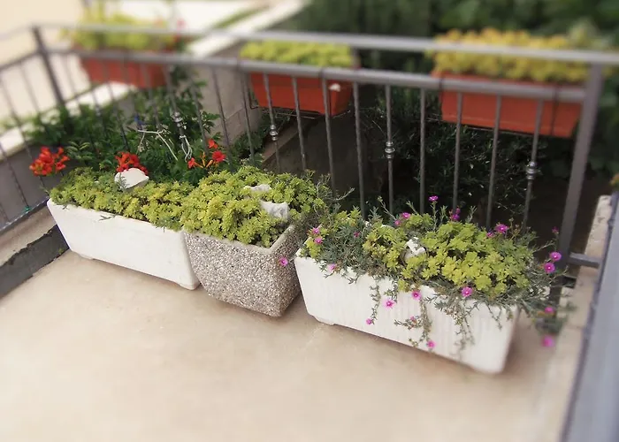 Casper * Novi Vinodolski